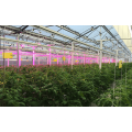 E27/E26 Led grow light 3W